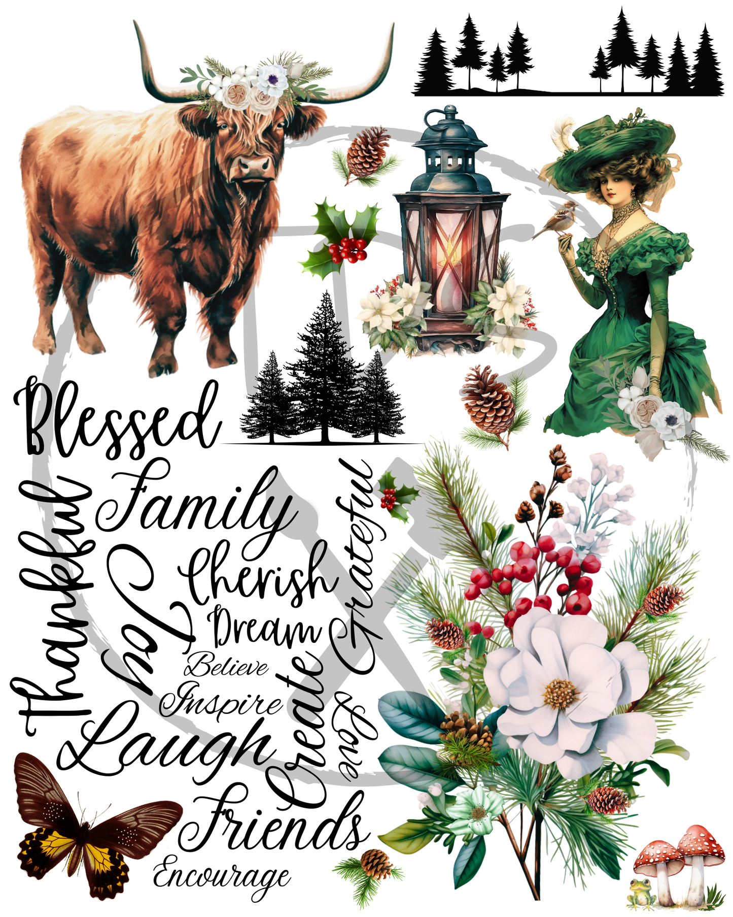 Dry Rub on Transfers Evergreen
