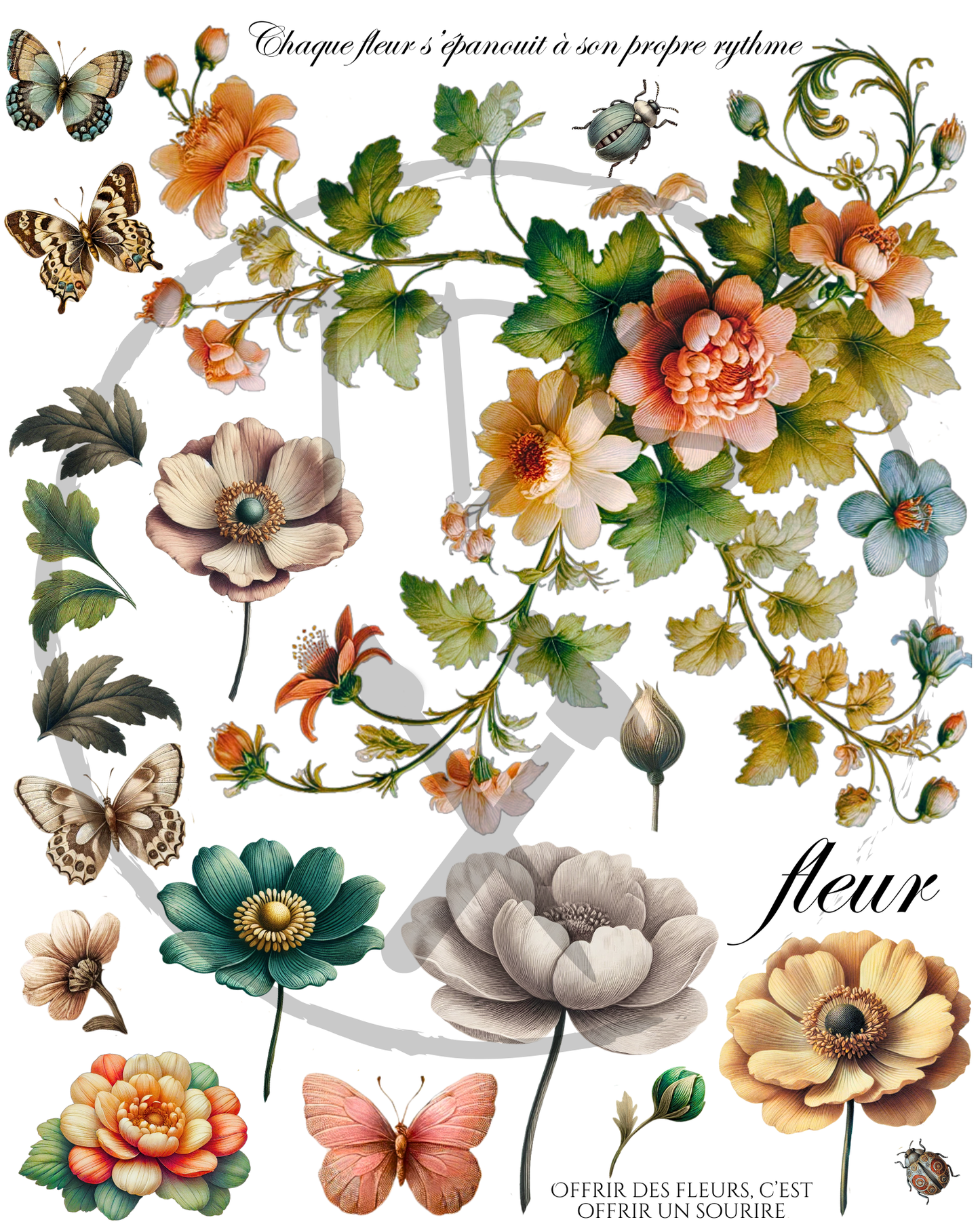 Dry Rub on Transfer Vintage Floral