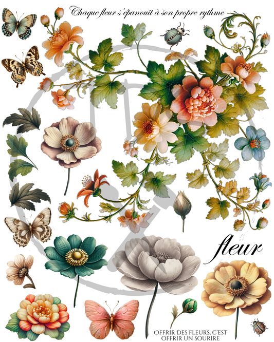 Dry Rub on Transfer Vintage Floral
