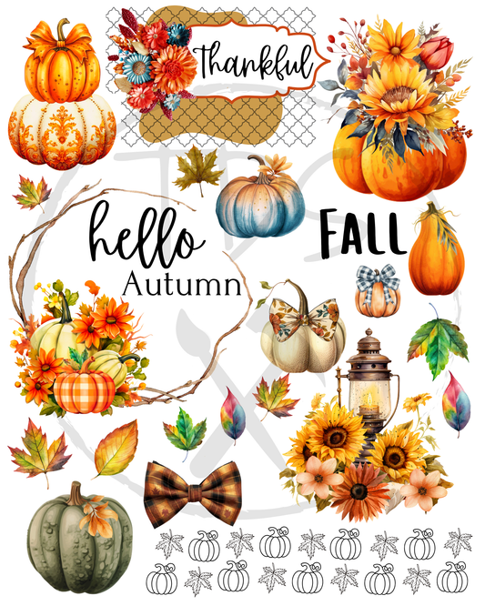 Dry Rub on transfer Hello Fall