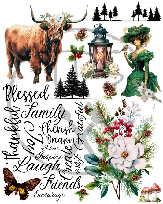 Dry Rub on Transfers Evergreen