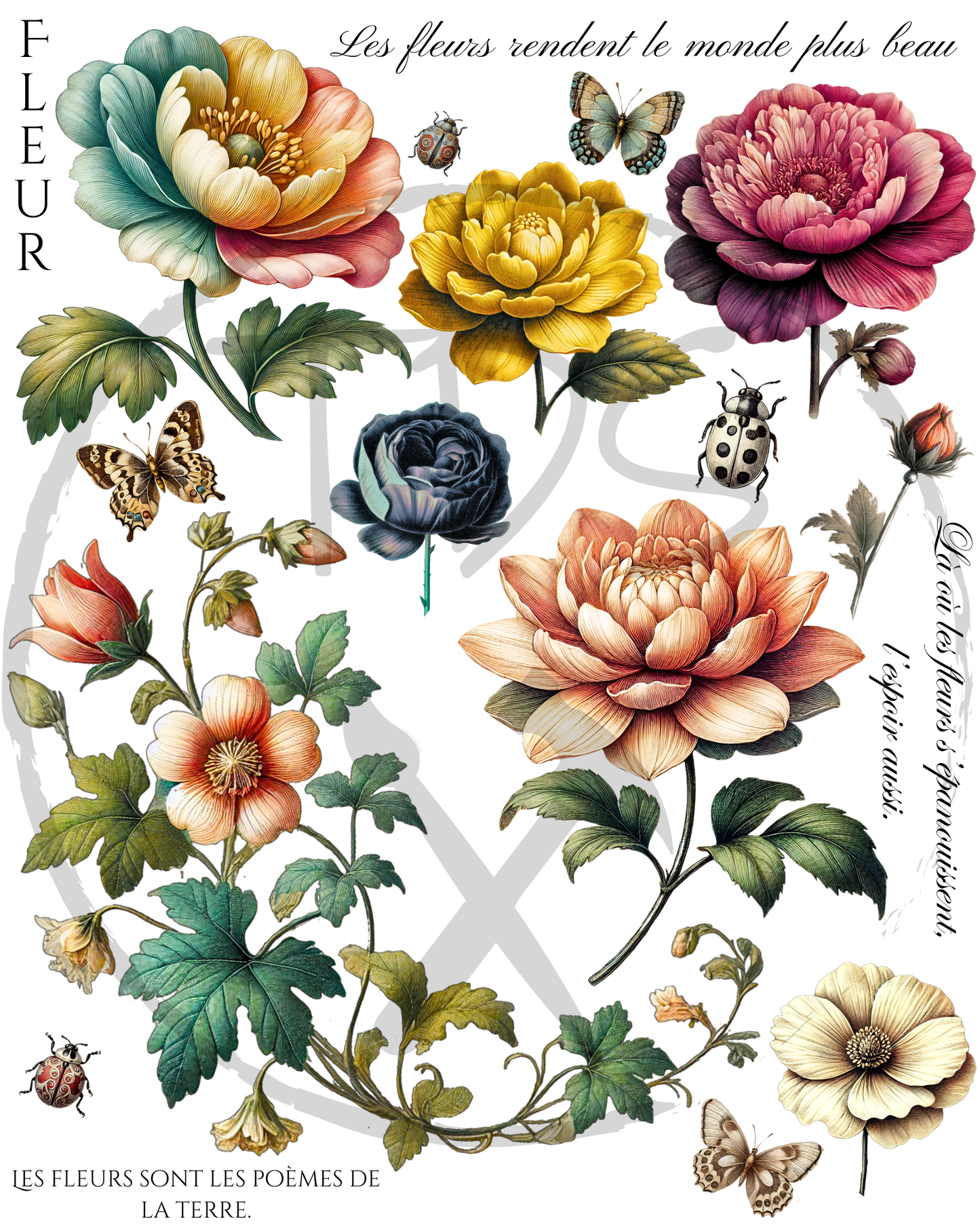 Dry Rub on Transfer Vintage Floral